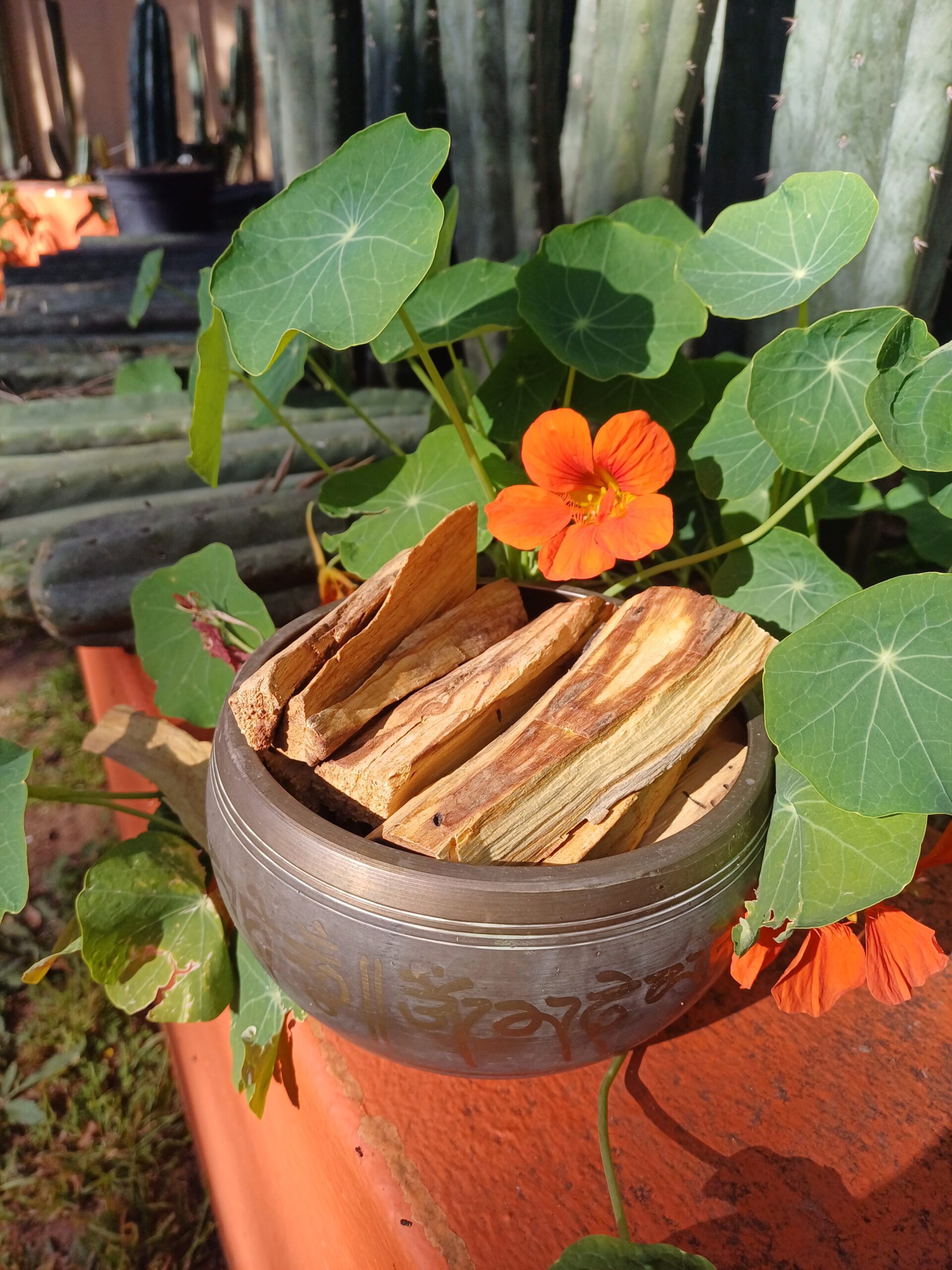 Palo Santo 8/10 sticks. 100 grams - Image 3