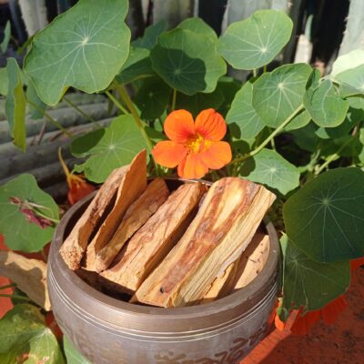Palo Santo 8/10 sticks. 100 grams