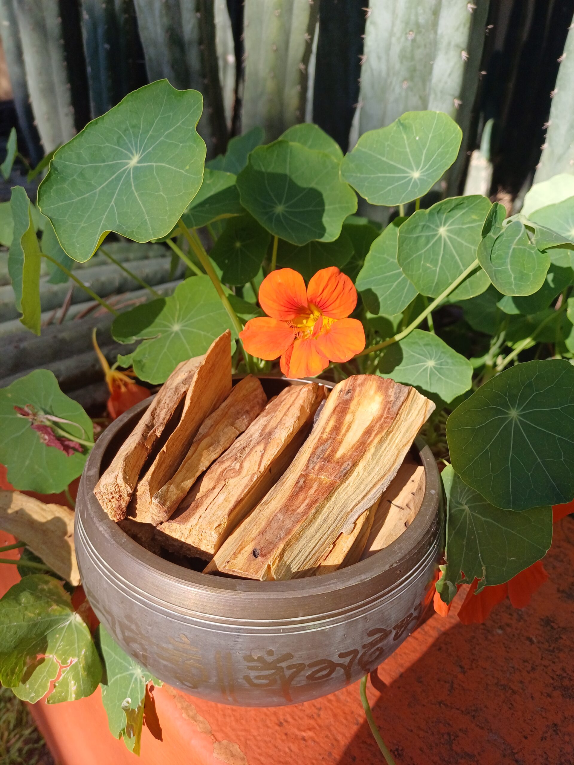 Palo Santo 8/10 sticks. 100 grams