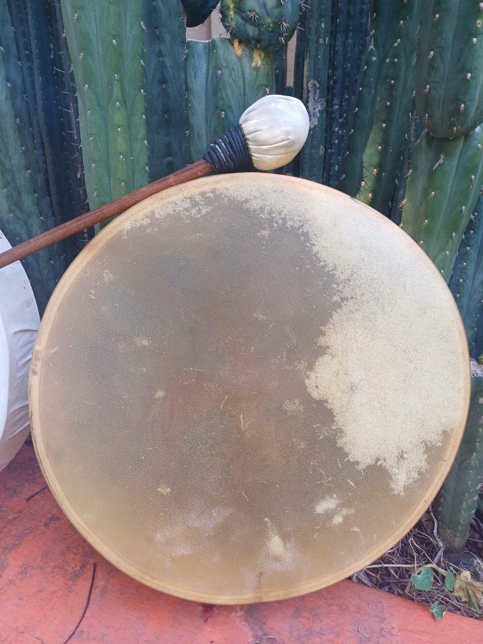 39 cm Goat or Calf skin drums - Image 2