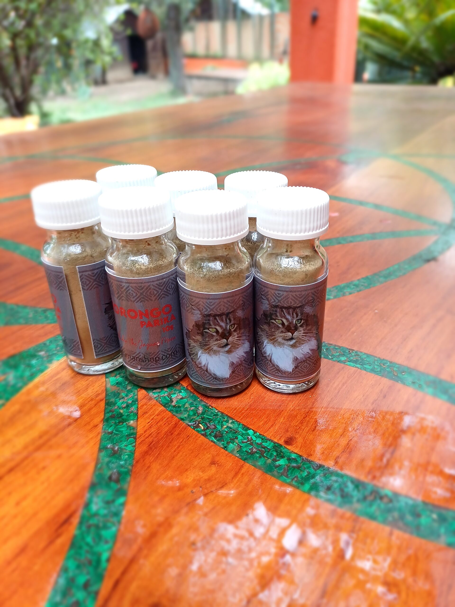 Parika Hape from Kaxinawa tribe, Acre Brazil.