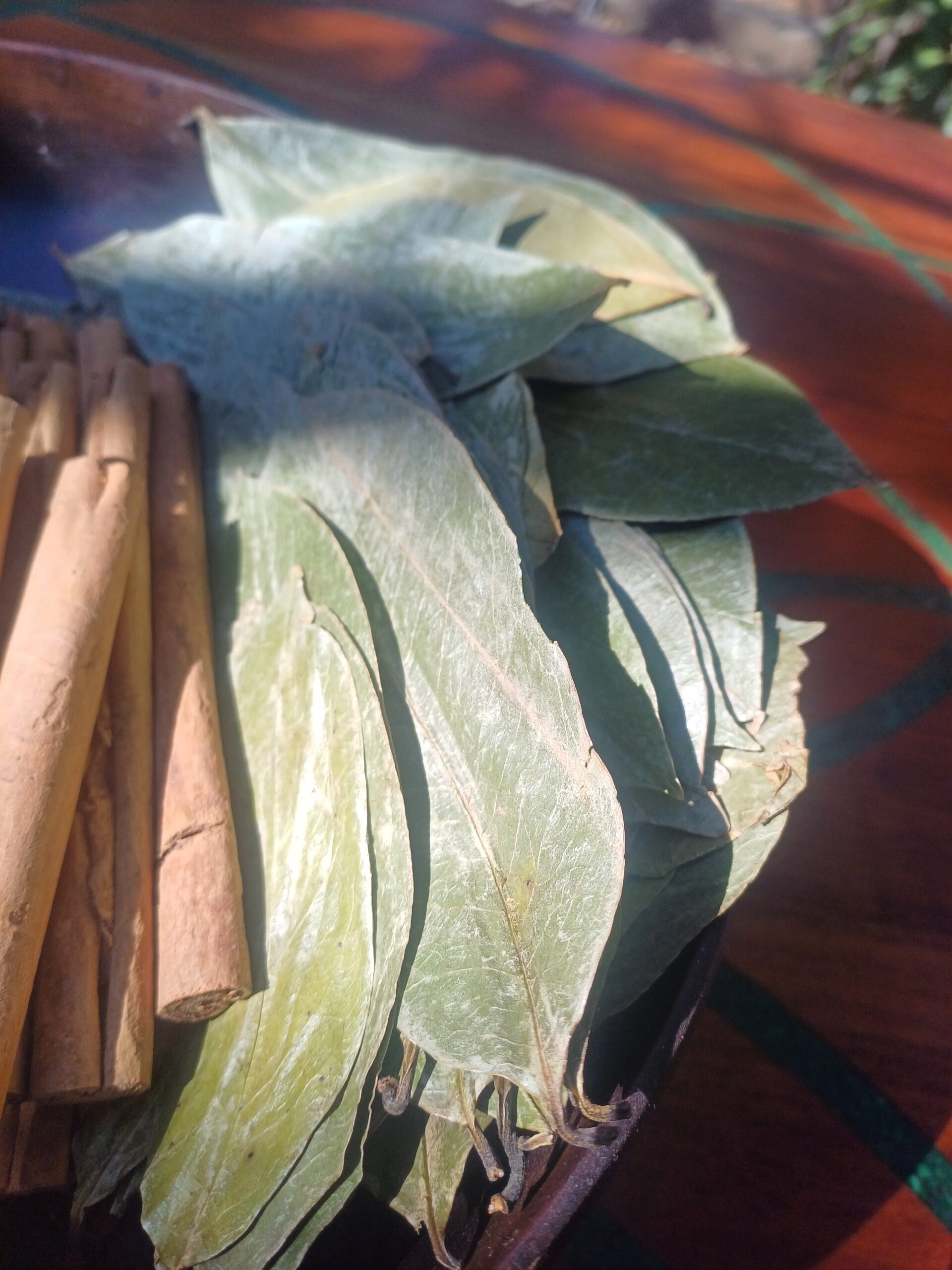 Soursop, Graviola or Brazilian paw paw, Dried leaves, 30 grams - Image 2