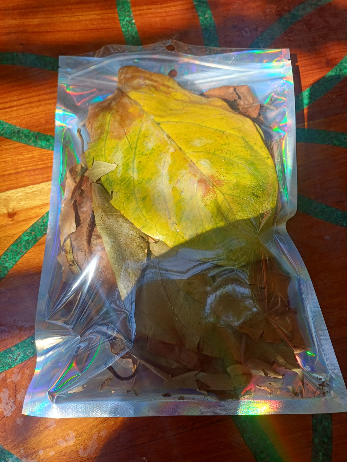 Ayahuasca vine leaf, Caapi. 100 grams