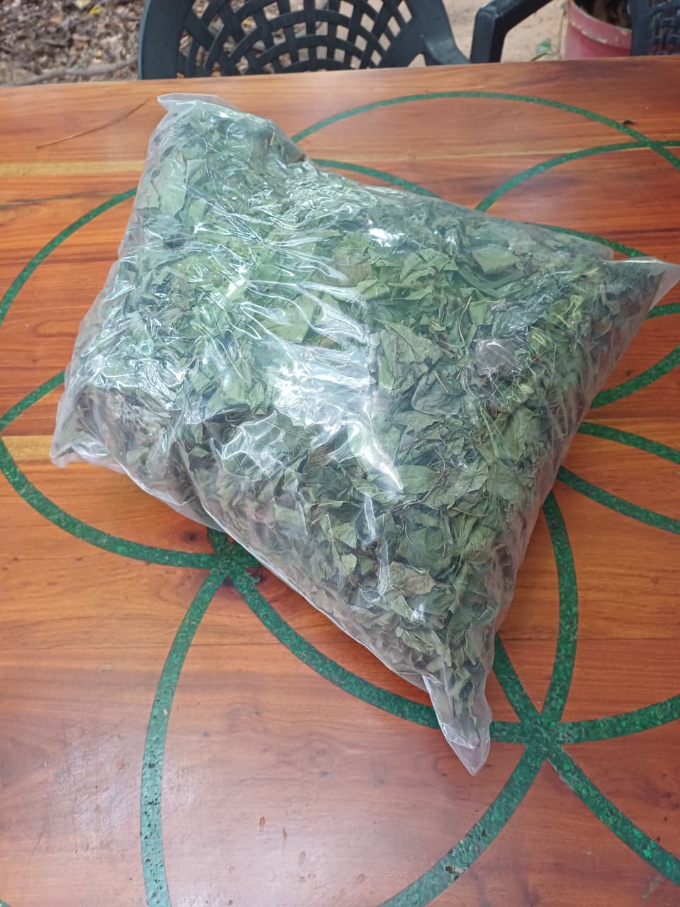 Chacruna Leaves, Dried 100grams